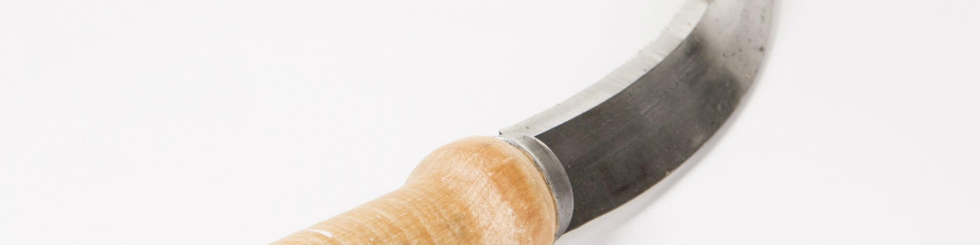 486_5.jpg
